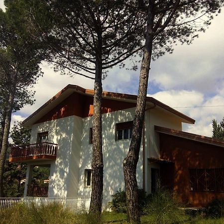 Il Giardino Di Leoca Bed & Breakfast Nicolosi Ngoại thất bức ảnh