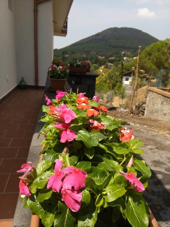 Il Giardino Di Leoca Bed & Breakfast Nicolosi Ngoại thất bức ảnh