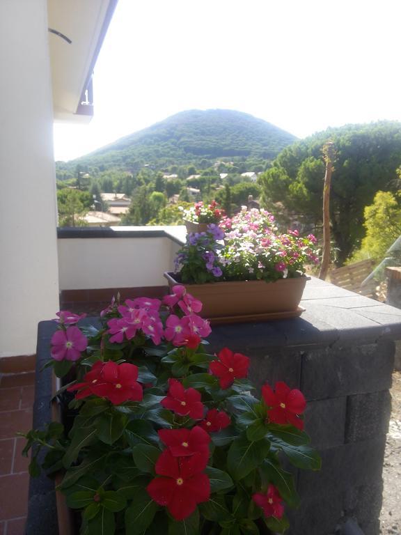 Il Giardino Di Leoca Bed & Breakfast Nicolosi Ngoại thất bức ảnh